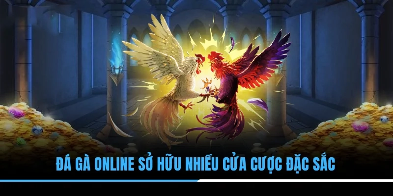 Đá gà online sở hữu nhiều cửa cược đặc sắc