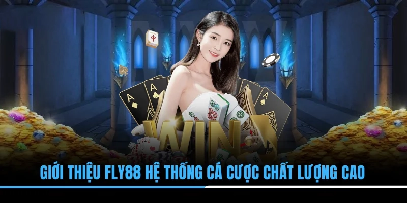 Giới thiệu hệ thống cá cược chất lượng cao